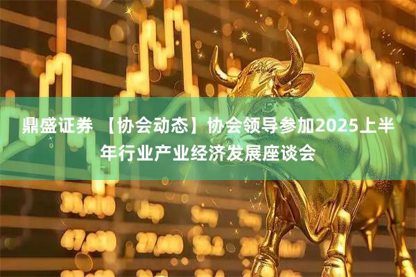 鼎盛证券 【协会动态】协会领导参加2025上半年行业产业经济发展座谈会